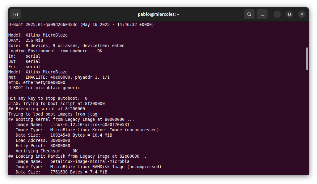 "PetaLinux boot"